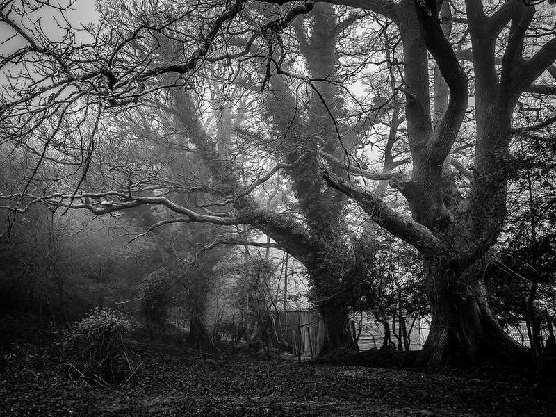 SONY @ Electronic City Central Park