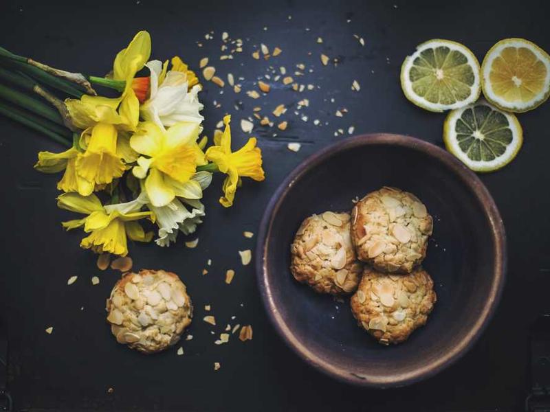 Interior Showroom Technoplast